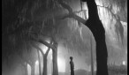 2694535888_small_1-1